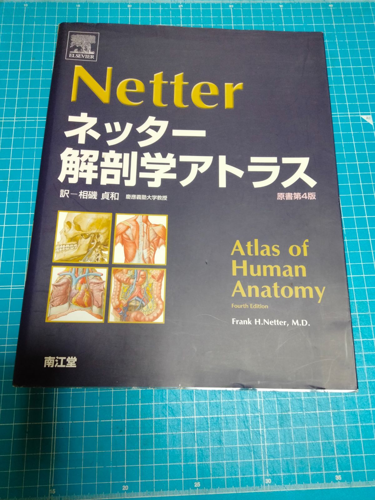 セール安い ネッター解剖学アトラス