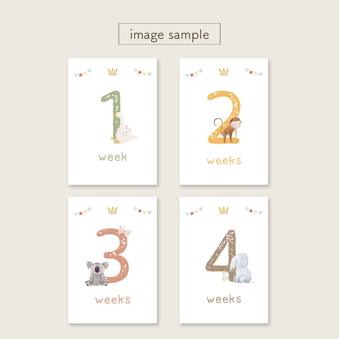 ページです. マンスリーカード