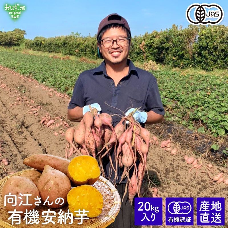 紫芋 土付き　箱込み15キロ　無農薬　鹿児島県産 紫芋 土付き 箱込み15キロ 無農薬 鹿児島県産 完売ありがとうご