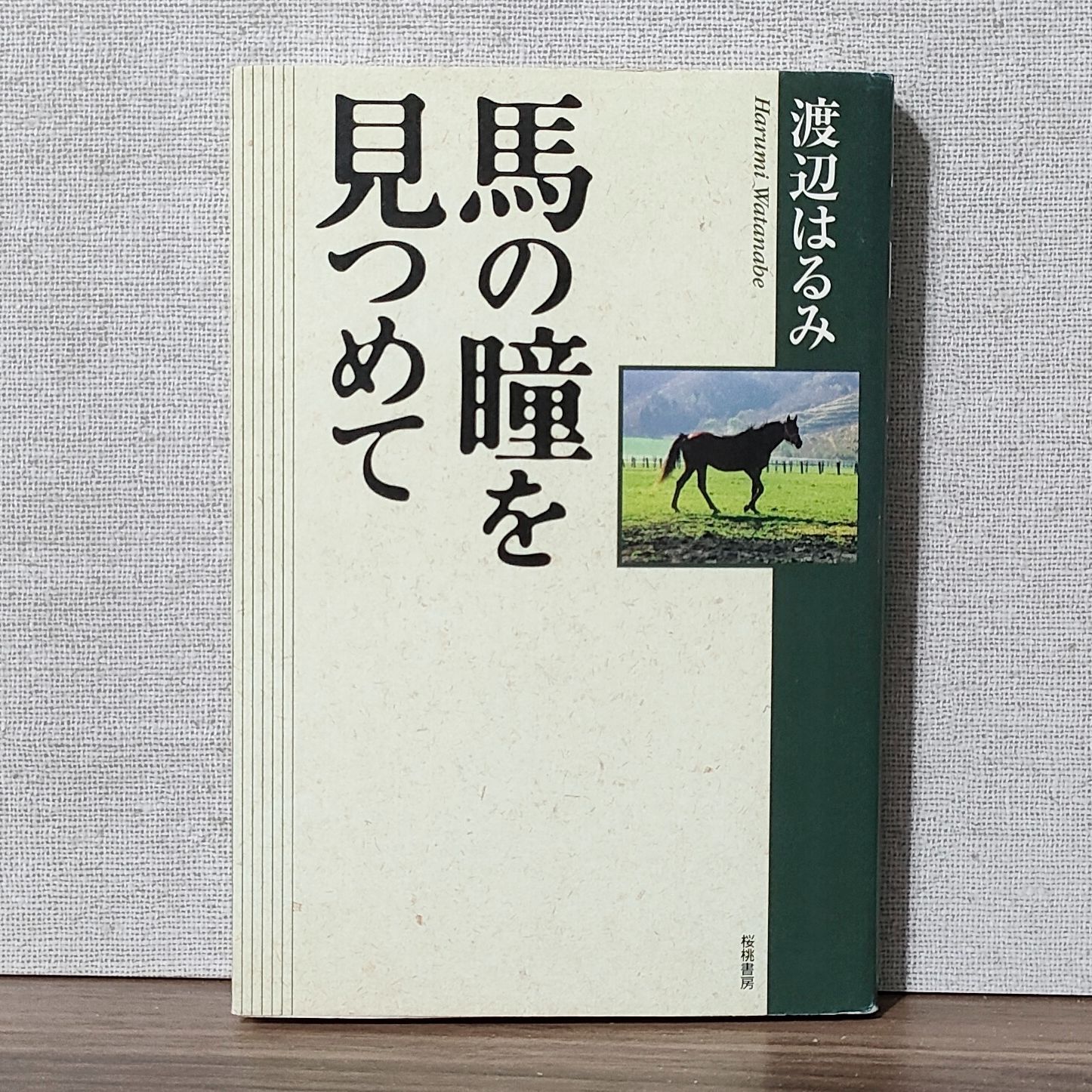 馬の瞳を見つめて