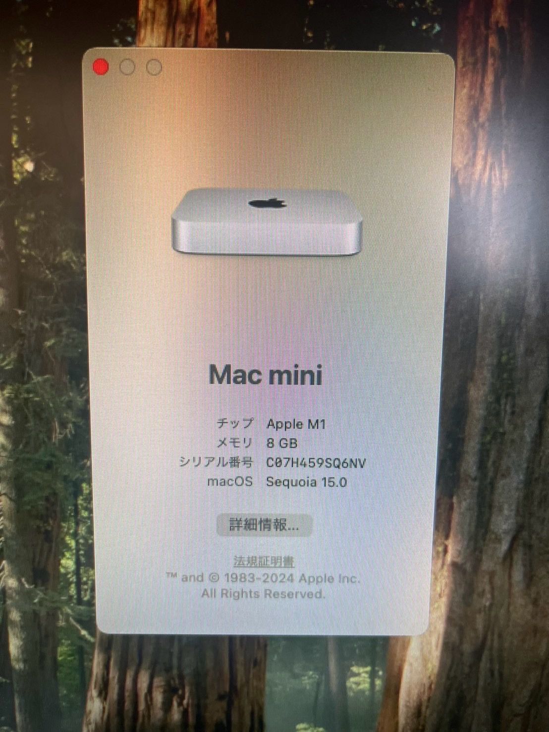 美品】mac mini M1/MGNR3J/A/基本動作確認済み/初期化済み/No,12