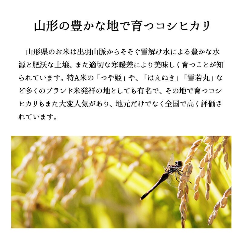 精米 5kgx3袋