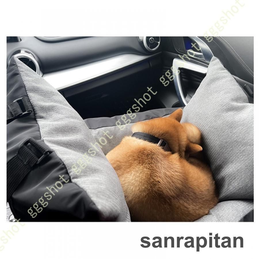 犬