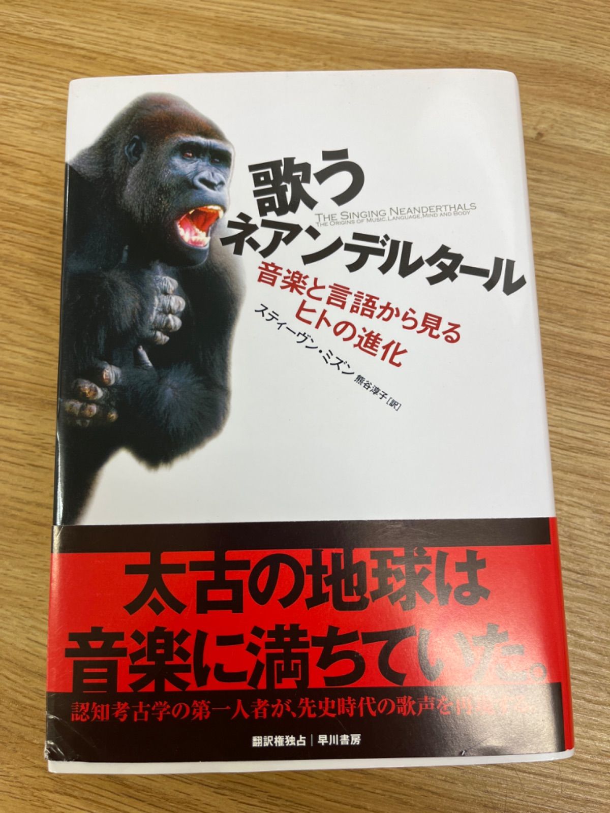 歌うネアンデルタール : 音楽と言語から見るヒトの進化 - 人文/社会