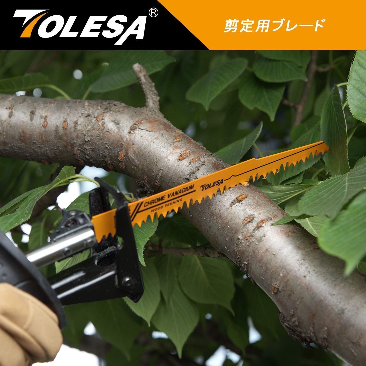 在庫わずか】レシプロソー替刃 庭木剪定 木工用 TOLESA 金属切断 セーバーソーブレード 電気のこぎり替え刃 10枚入れ |mercariメルカリ官方指定廠商|Bibian比比昂代買代購