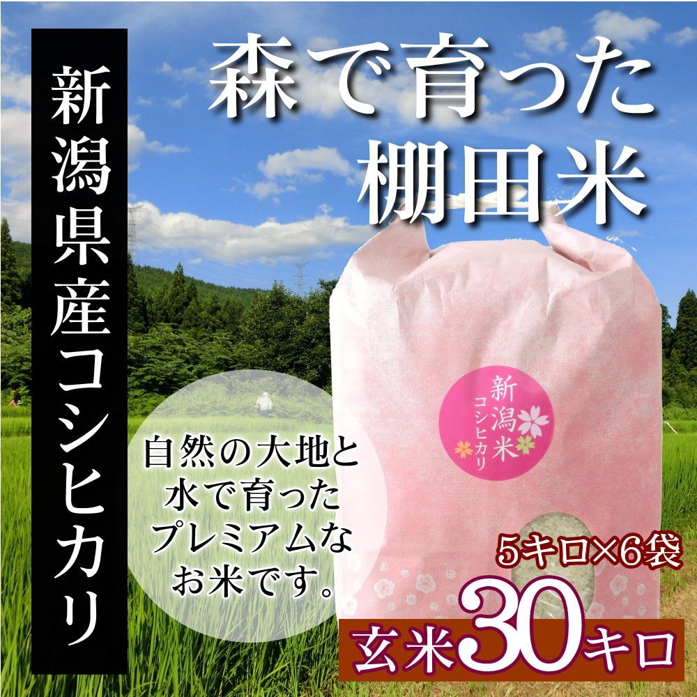 新潟米コシヒカリ 玄米 30kg（5kg×6袋）新潟産こしひかり 産地直送 お祝い、ギフト、贈答に ご自宅、ご家庭、お弁当にも 新米