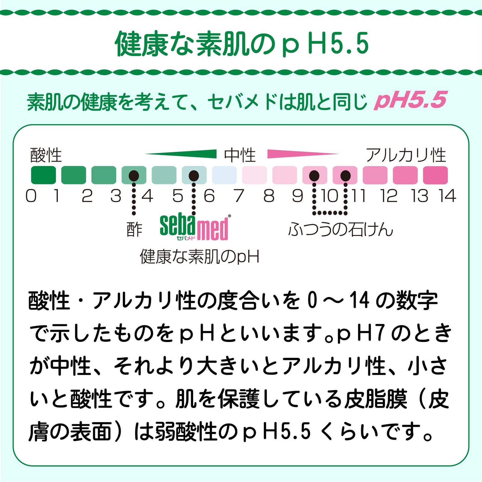 セバメド
