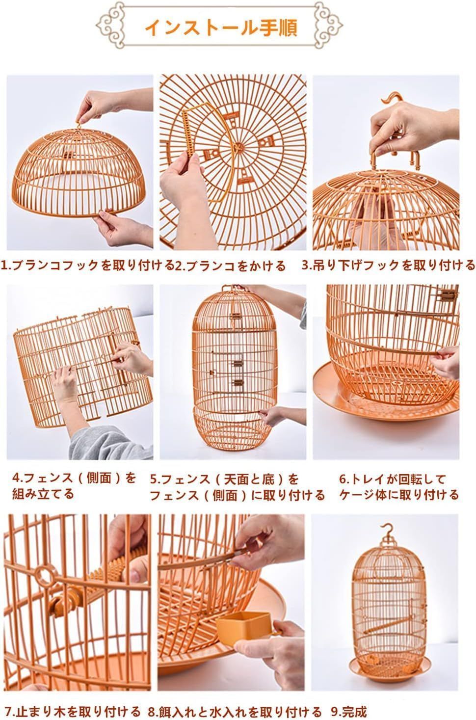 文鳥