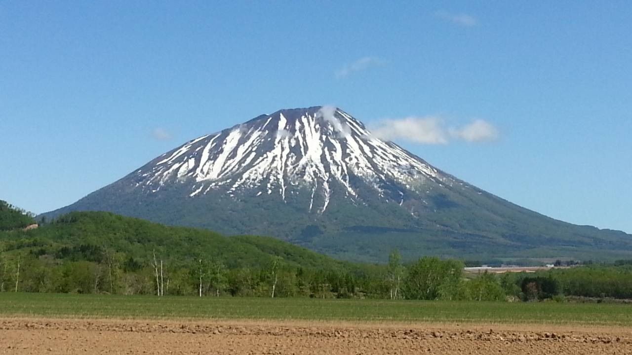 メルカリShops - 北海道産 羊蹄山麓 減農薬 じゃがいも (とうや) Lサイズ 5kg