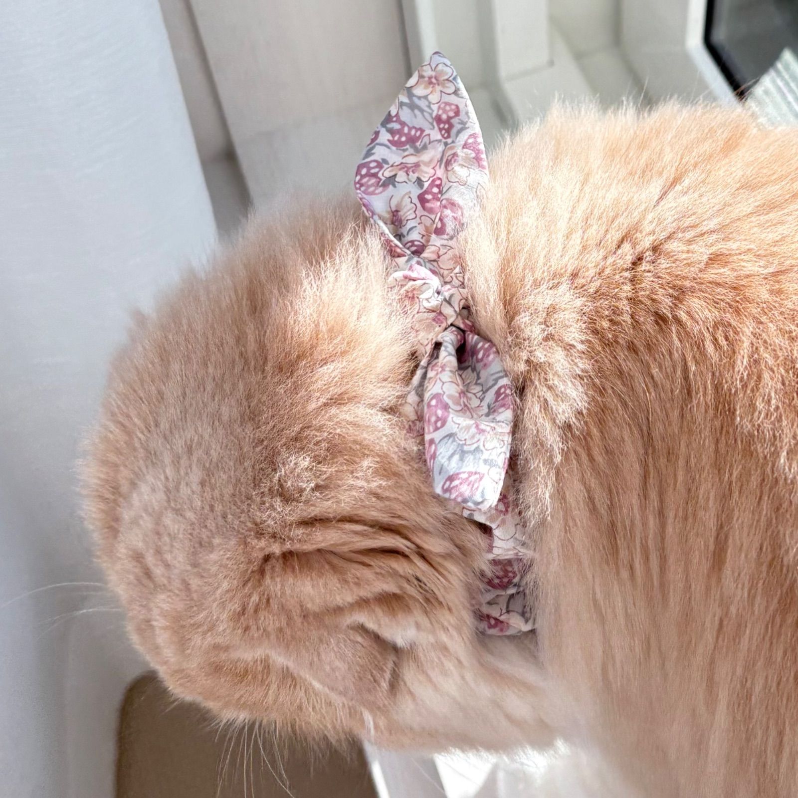 リバティいちごシュシュ首輪】猫首輪 ペット首輪 シュシュ首輪