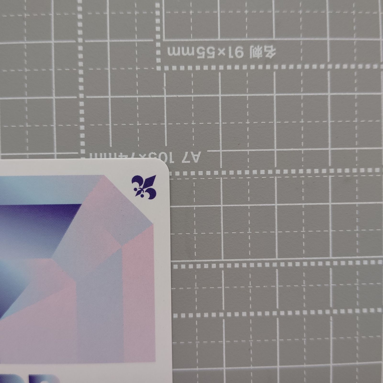 ヴァイスシュヴァルツブラウ