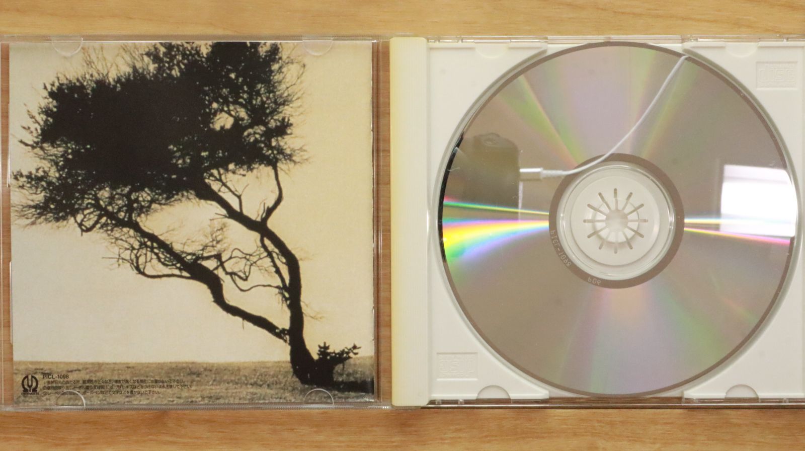 国内盤CD☆カツミ/KATSUMI□ BRIGHT DAYS 【PICL1098