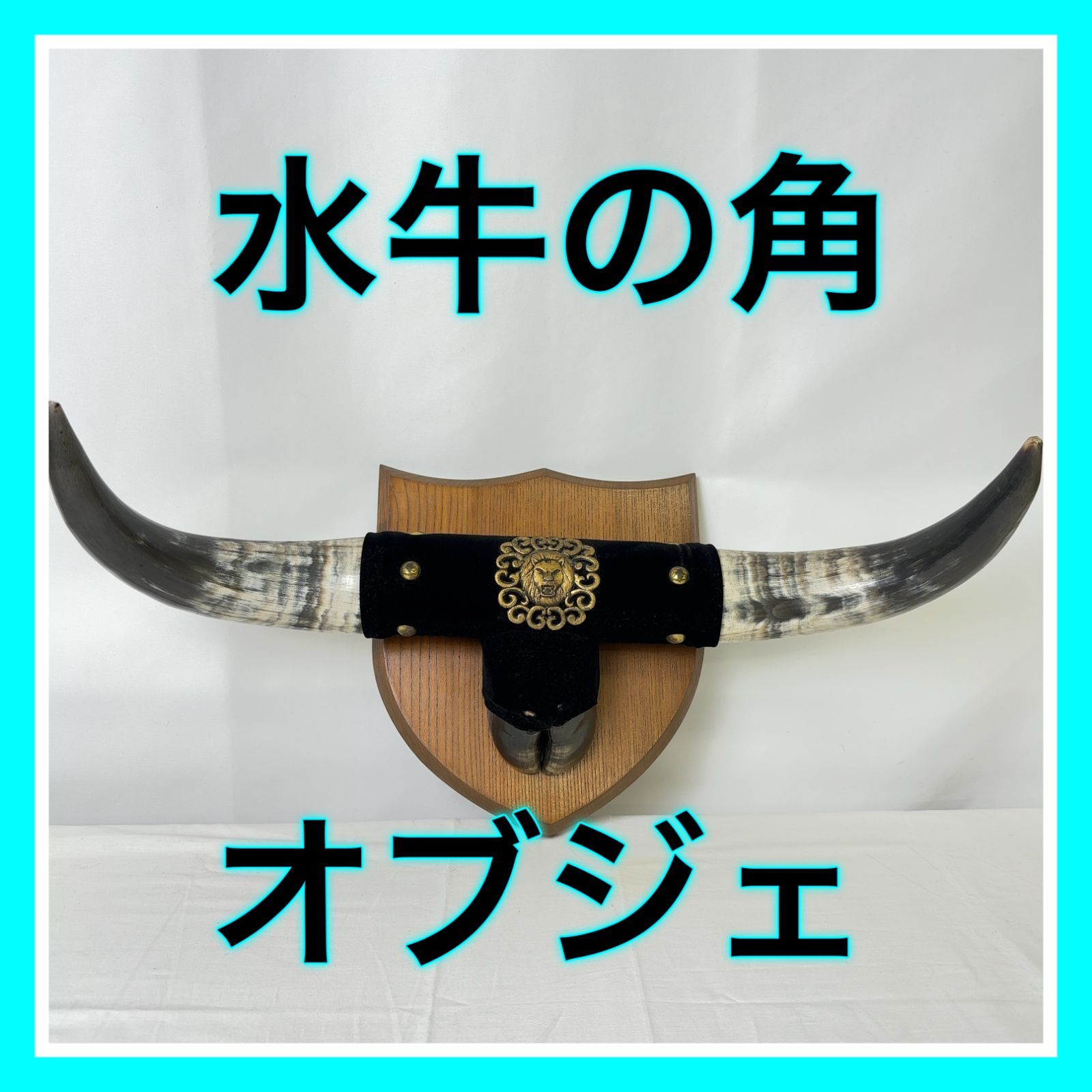 M251-50-10 角 オブジェ 水牛 置物 インテリア アンティーク ツノ 壁掛け