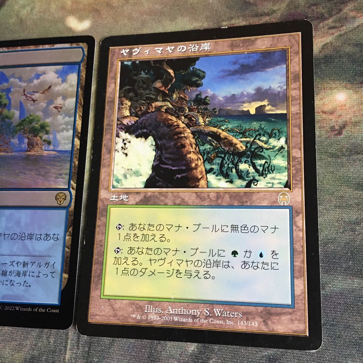MTG/ヤヴィマヤの沿岸/FOIL/アポカリプス