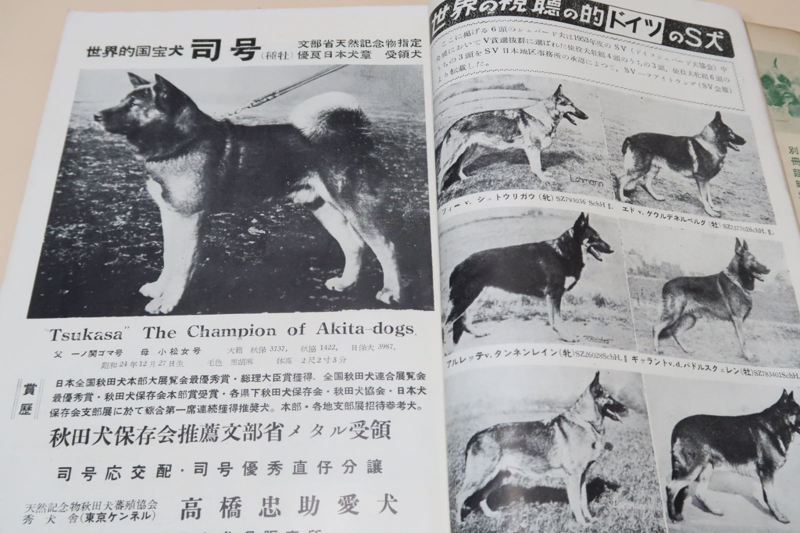 日本犬名犬写真集　愛犬の友編集部編　昭和六二年　発行 日本犬名犬写真集 愛犬の友編集部編 昭和六二年 発行
