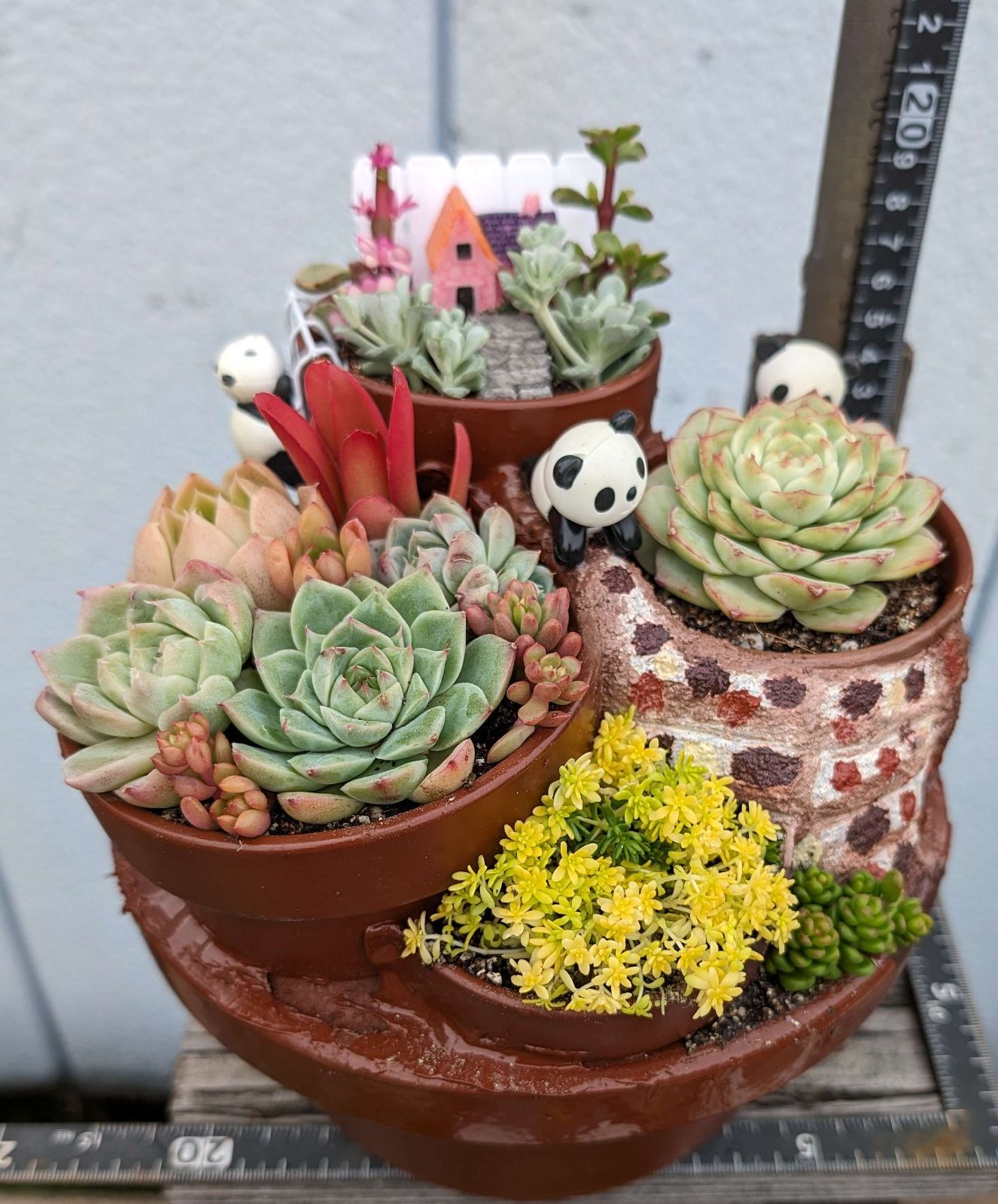 専用　そのまま飾れる多肉植物の寄せ植え*モルタル鉢の釣り猫 専用 そのまま飾れる多肉植物の寄せ植え*モルタル鉢の釣り猫 このまま飾れ