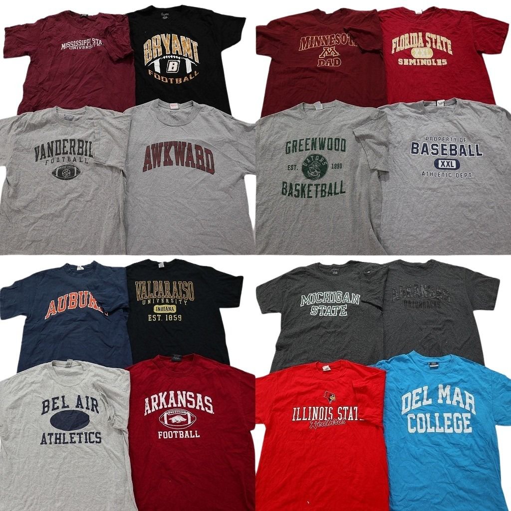 古着卸 カレッジ風 半袖Tシャツ 16枚セット メンズ L |XL ミネソタ大学 アーカンザス大学 ミシガン大学 古着 NA2646