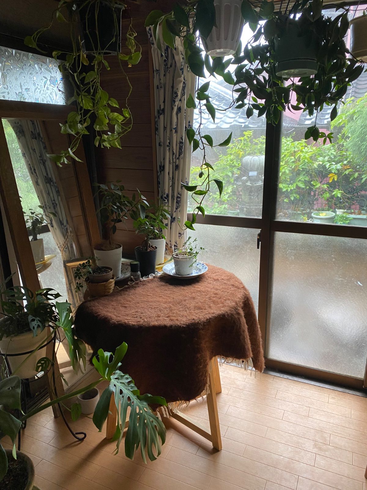 日の当たり方によりお色が楽しめる