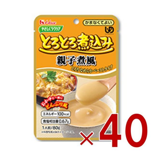 介護食　ハウスギャバン　やさしくラクケア　とらとろ煮込み　10種類セット ハウスギャバン やさしくラクケア とろとろ煮込み シリーズ 食べ比べ