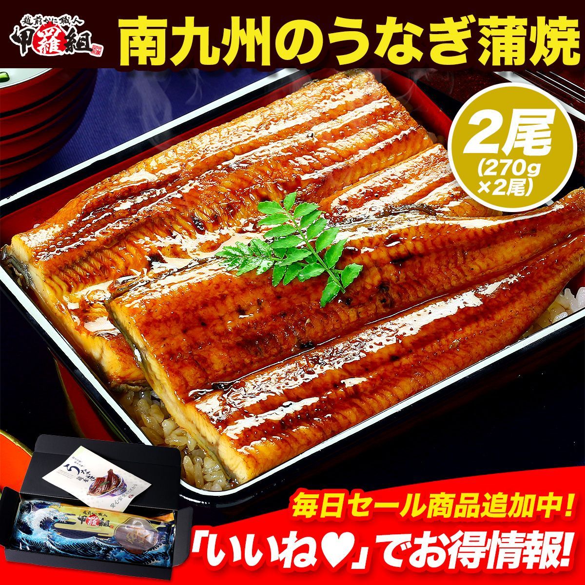 丑の日 お中元 プレゼント希少な超特大＆肉厚サイズを厳選！南九州のブランドうなぎ蒲焼き約270g前後×2尾入り タレ＆山椒付き 専用ギフトBOXでお届け！ お中元 ウナギ 鰻 国産うなぎ 【甲羅組】