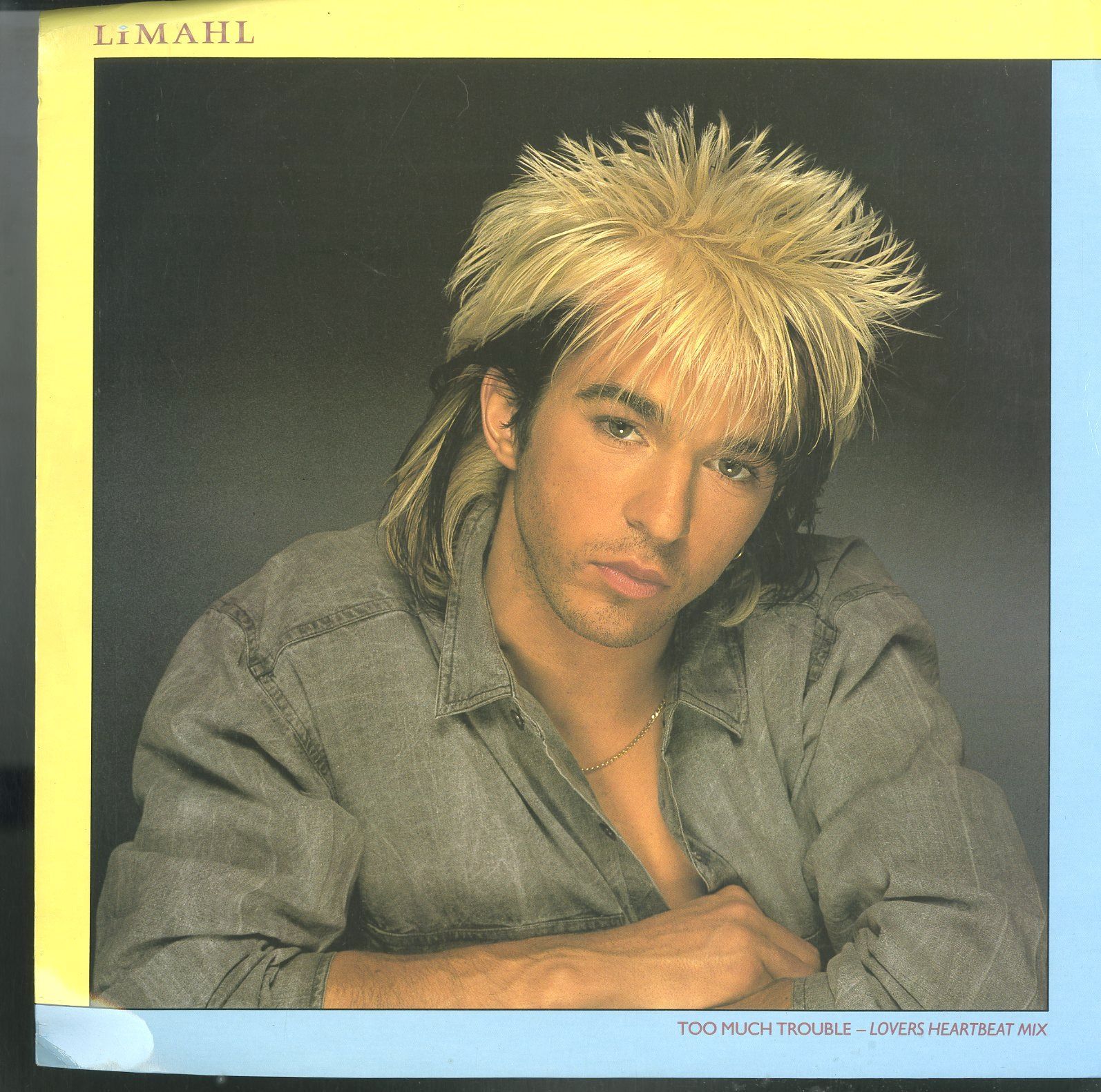 12インチ1枚 / リマール(カジャグーグー) / Too Much Trouble Lovers