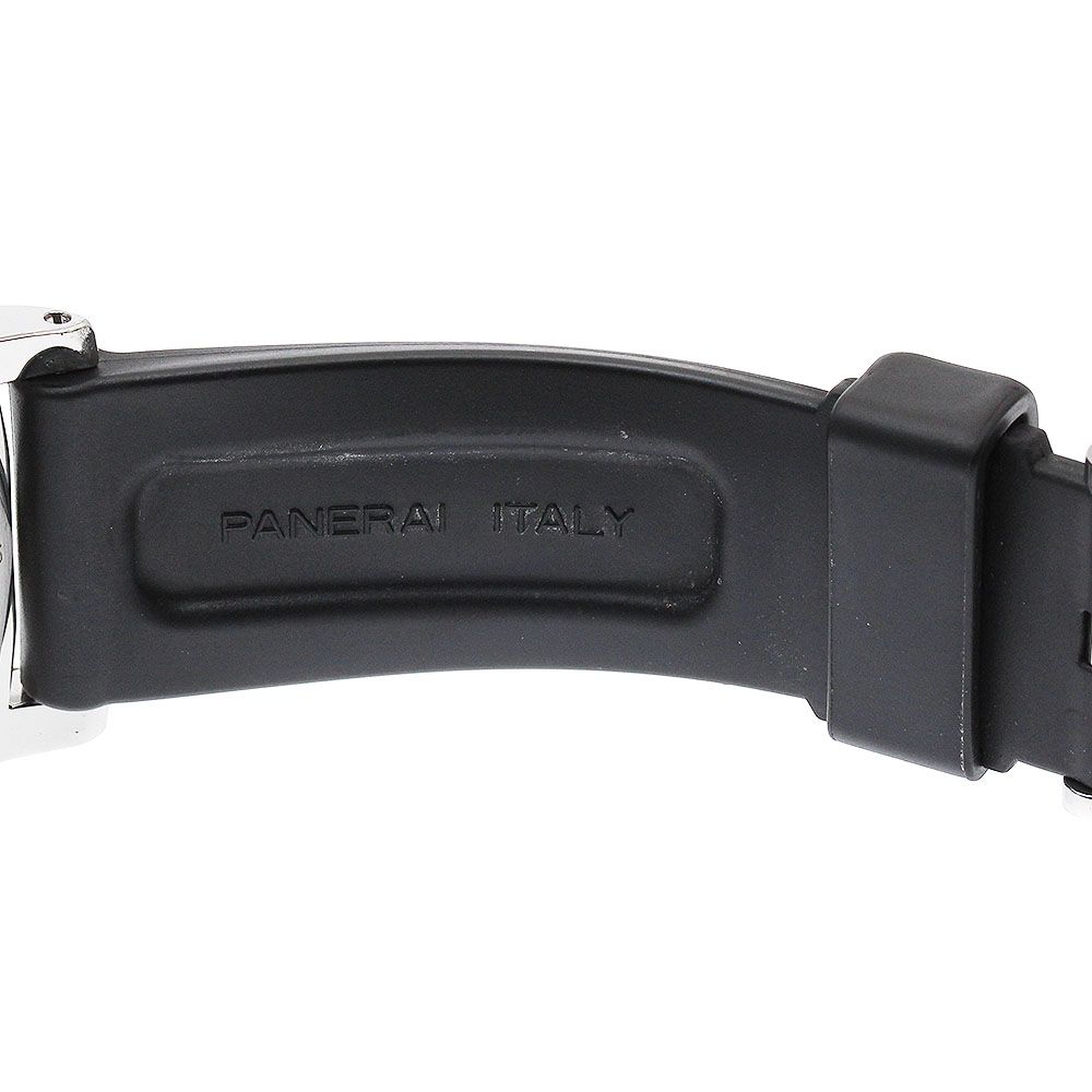 PAM00113