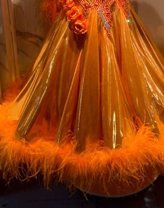 オーダーメイド 社交ダンス衣装 羽根 薔薇 モダンダンス スタンダード