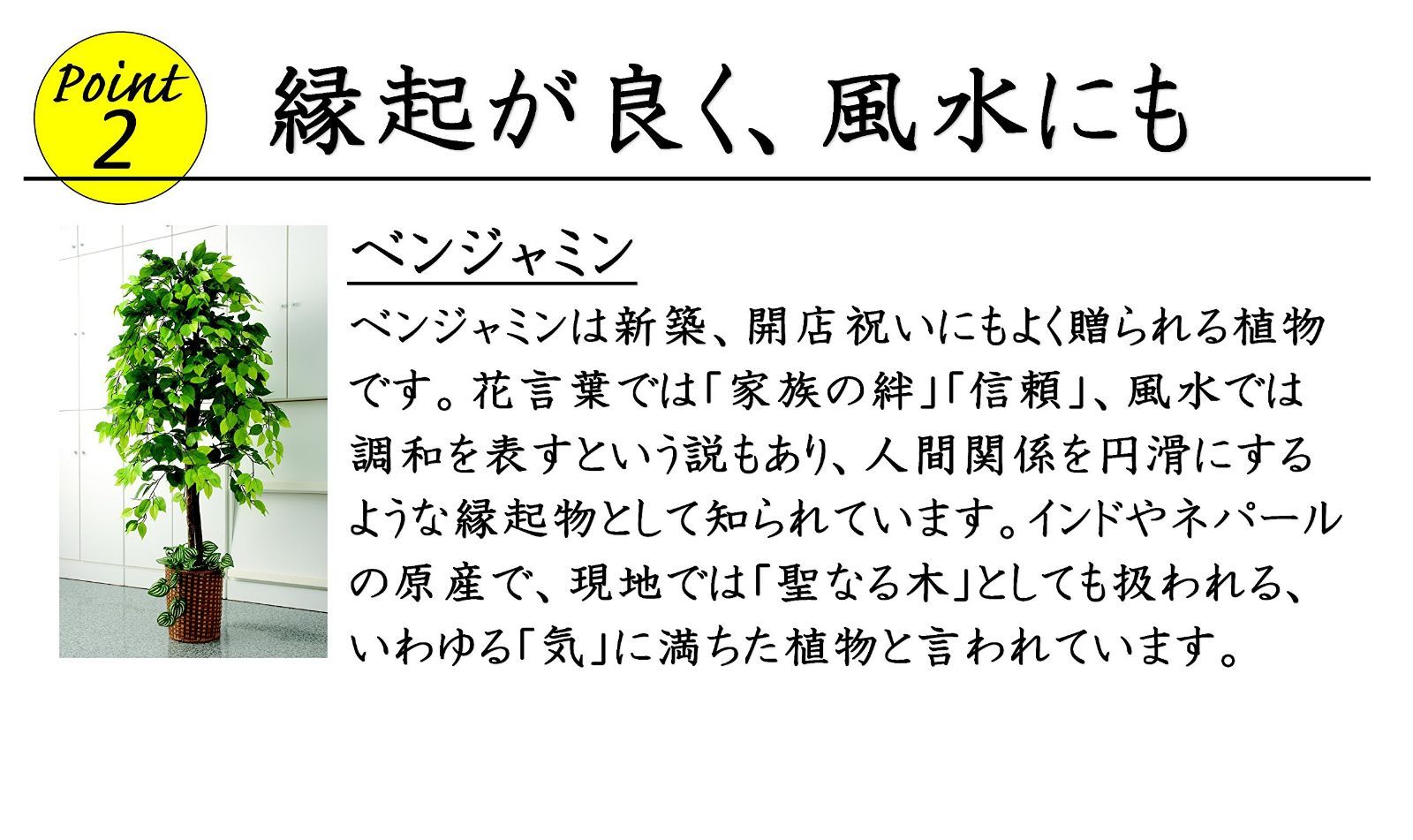 大型