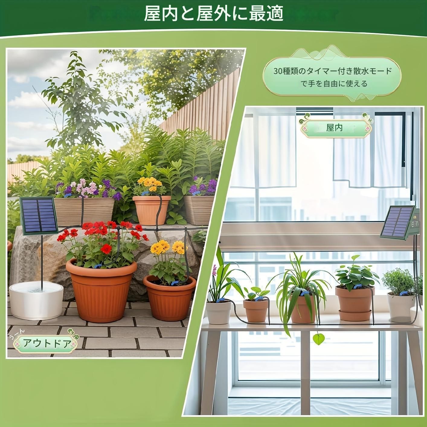 30のタイ