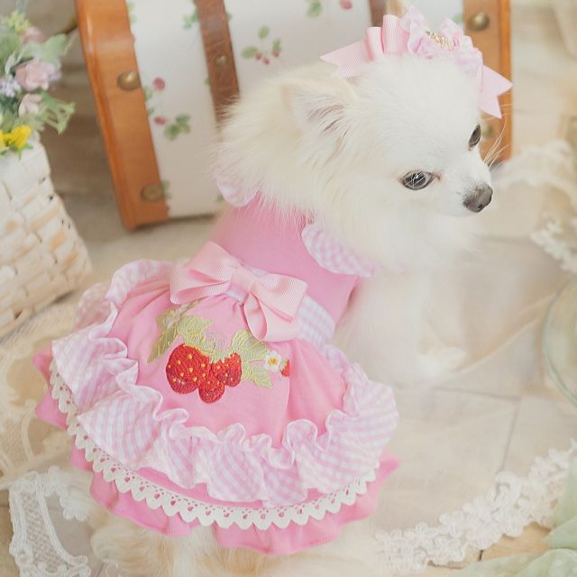 犬服 ドッグウェア キャンナナ レトロいちごギンガムフリルワンピース