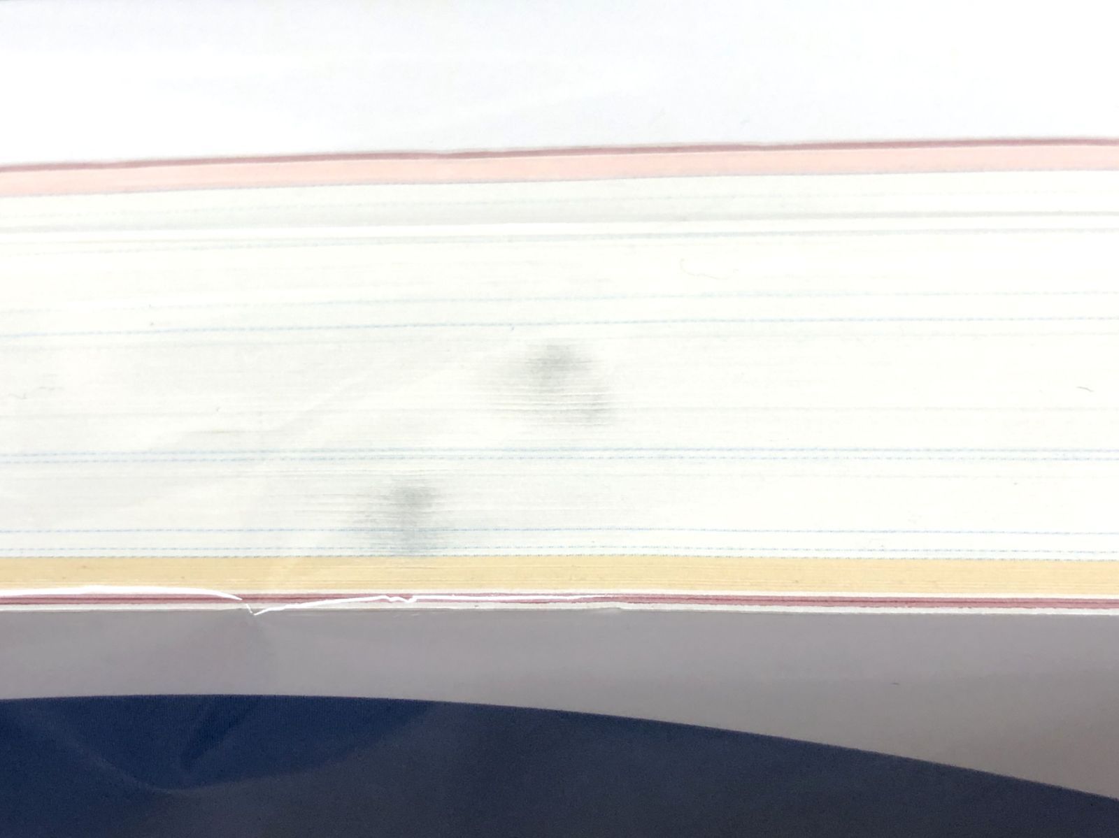 小牧店 救急救命士 2冊セット T209-2027 WWW_OLIVIERBERNSTEIN_COM