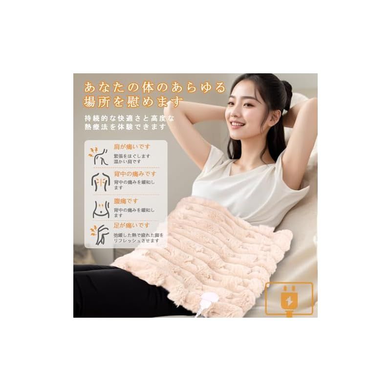 Haikawi 電気ホットマット 一人用 ホットカーペット タイマー機能付き 電気座布団 6段階温度調節 省エネ 過熱保護 自宅 オフィス 防寒対策 日本語説明書付き PSE認証済 カーキ 60x80cm 0