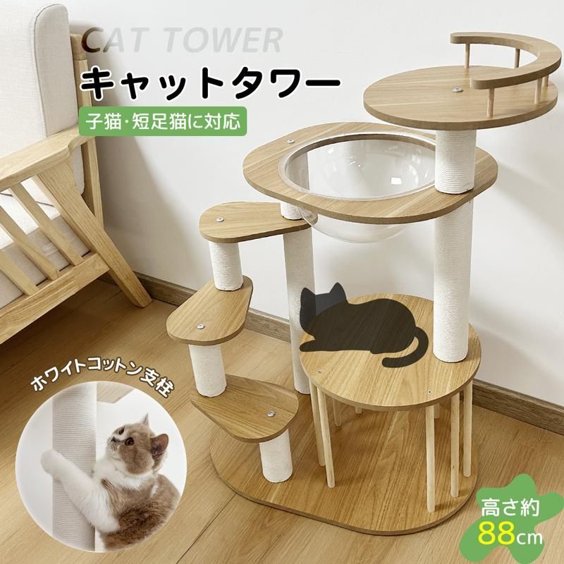 ねこタワー 子猫