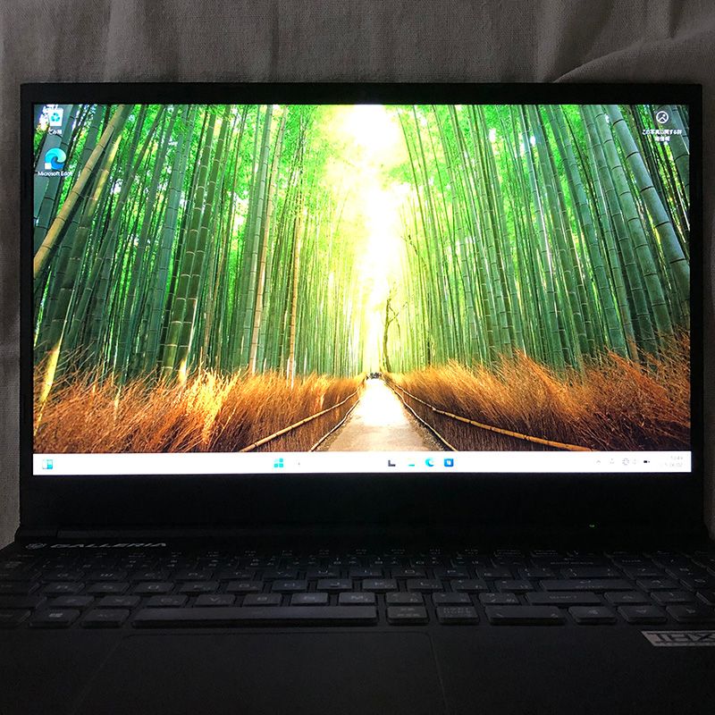ジャンク GALLERIA ゲーミングノートPC GTX1650Ti - メルカリ