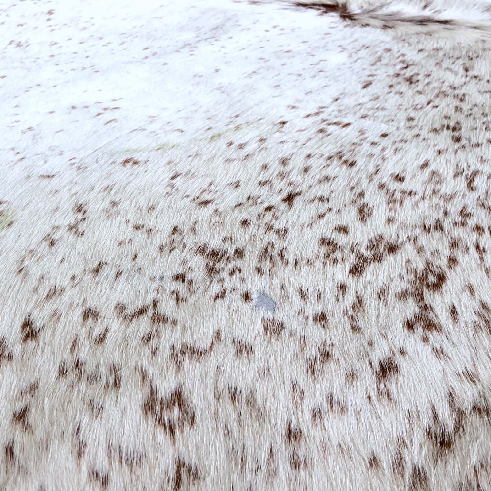 カウラグ ラグ 牛革 カウレザー 本革敷物 特大サイズ 約215cm × 約202cm ヴィンテージ MARWIL-DEMENAGEMENTS_CH