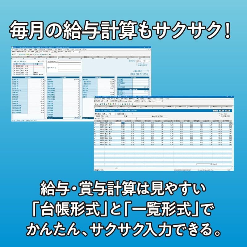 ソリマチ 給与計算ソフト