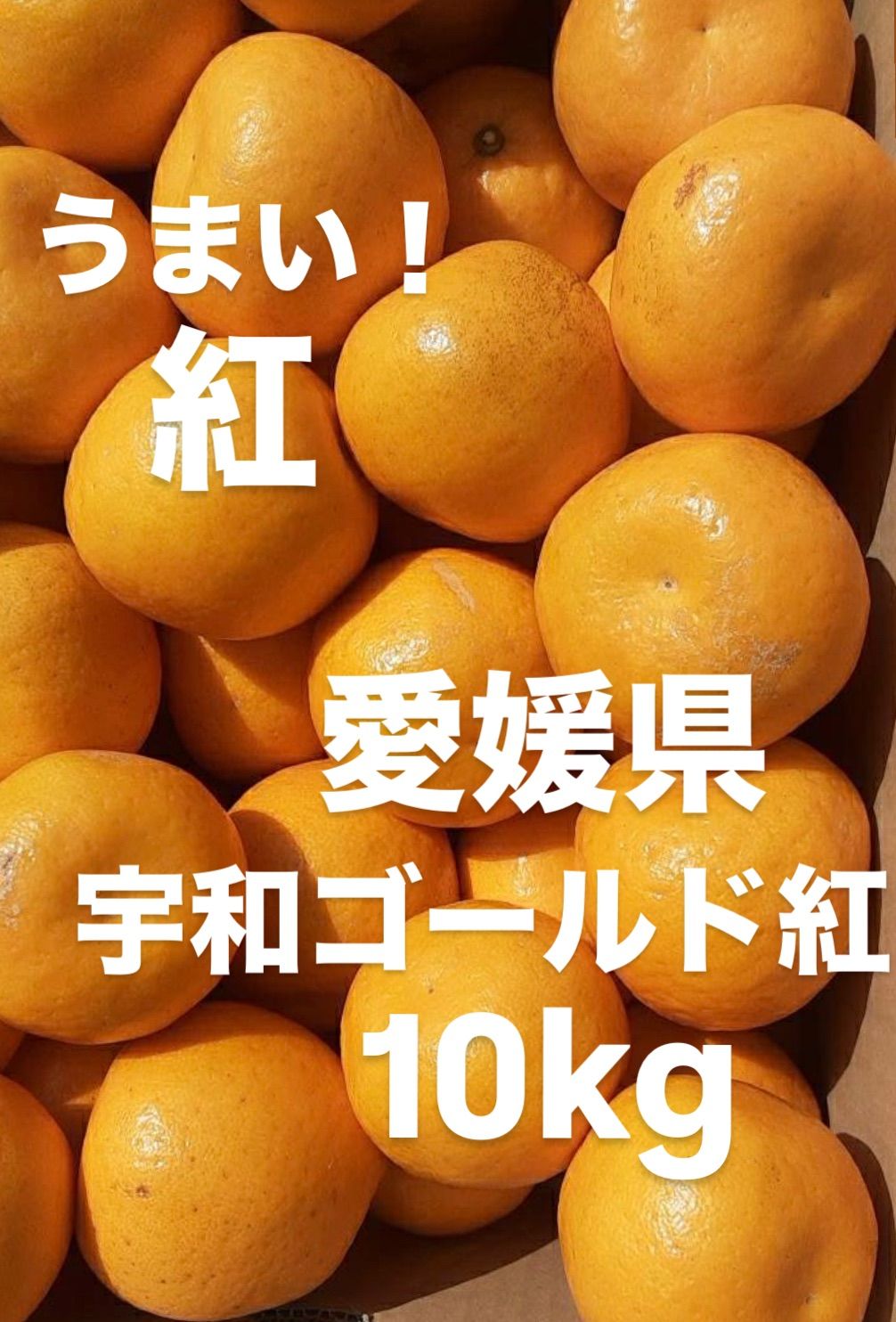 愛媛産 宇和ゴールド紅 河内晩柑 10kg 訳あり特価 - メルカリ