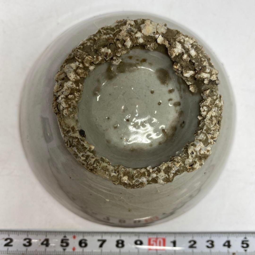 東H5-0903 タサチ