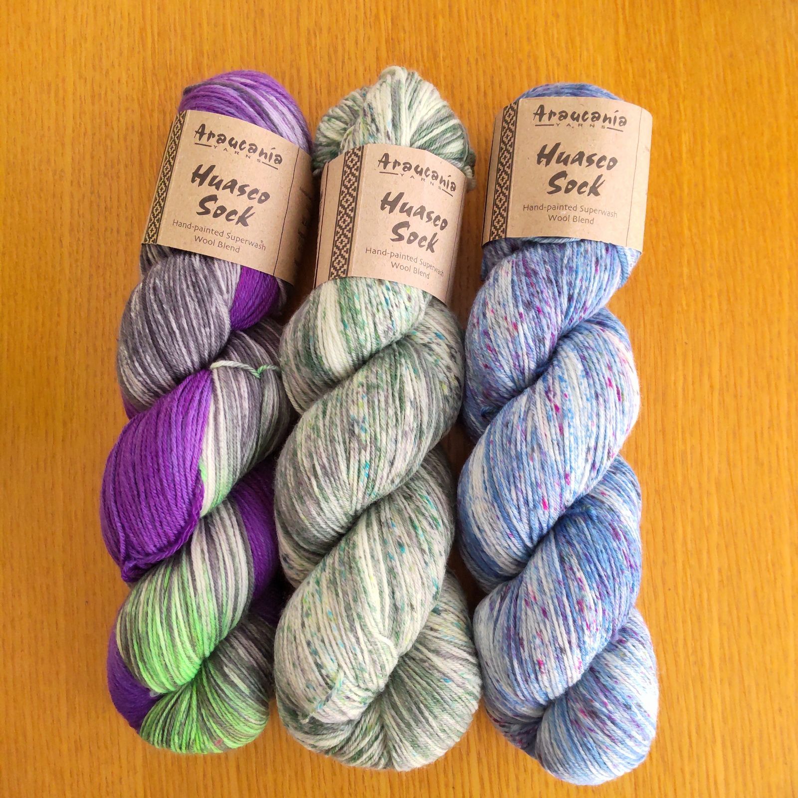 即日発送】 Araucania yarns Araucania Huasco Sock Huasco sock