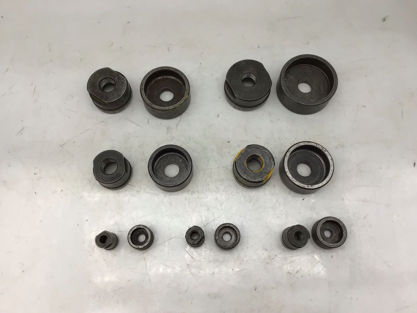 品 CACTUS|カクタス