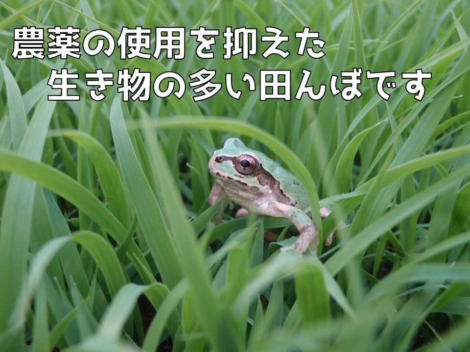 のサムネイル