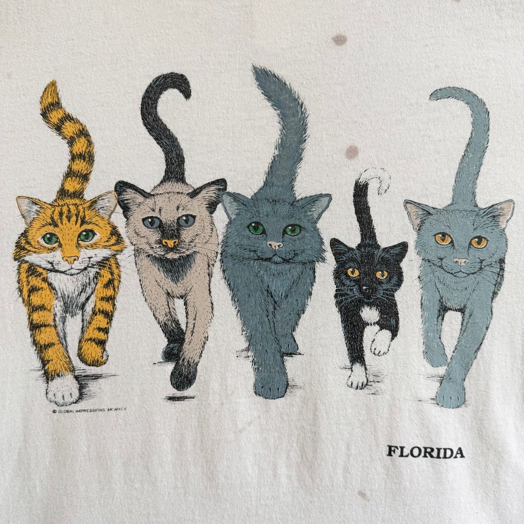 ネコ cat
