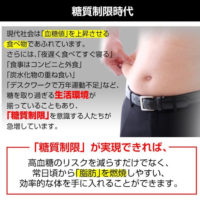 ケトスキャンmini ケトンメーター 糖質制限 ダイエット