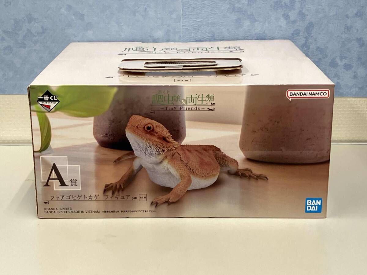未開封品 A賞 フトアゴヒゲトカゲ 一番くじ 爬虫類&両生類 ~Tiny