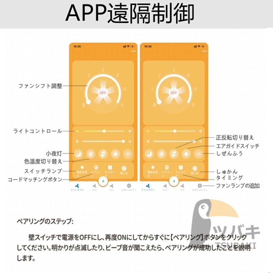 シーリングファンライト