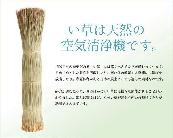 い草花ござカーペット