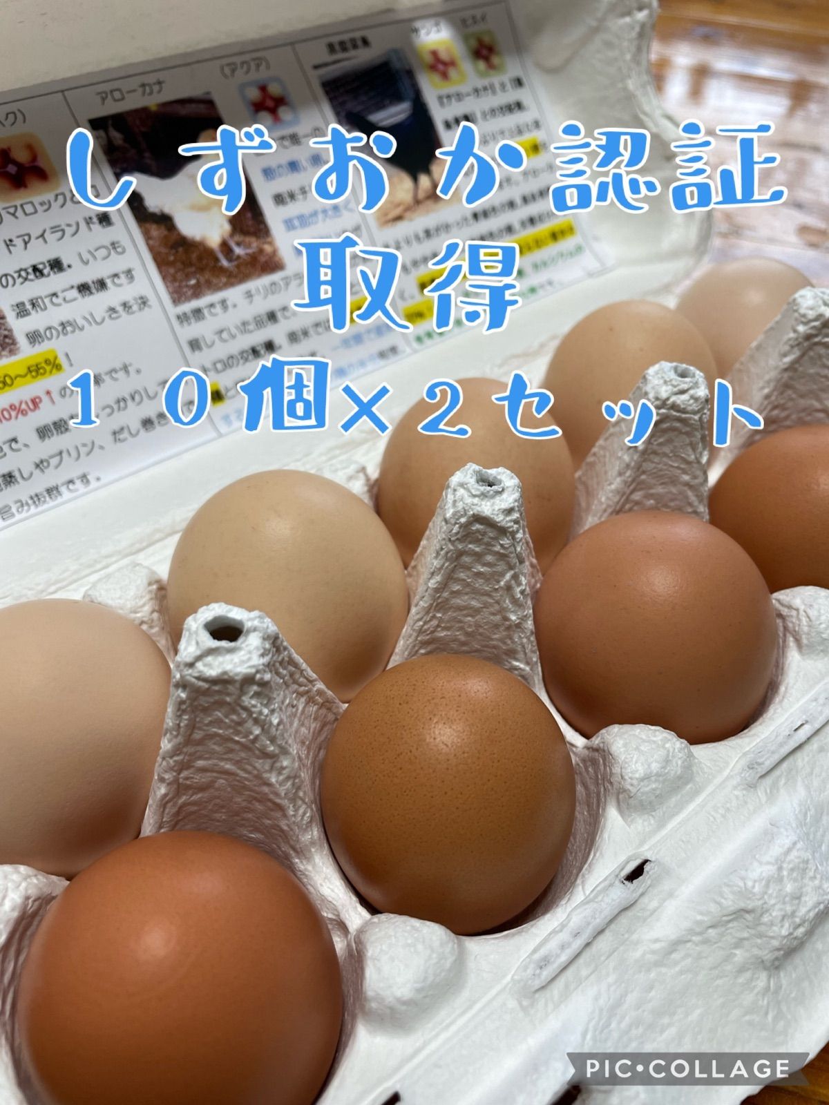 たまご コンバース｜converse レディース 通販 converse コンバース ALL