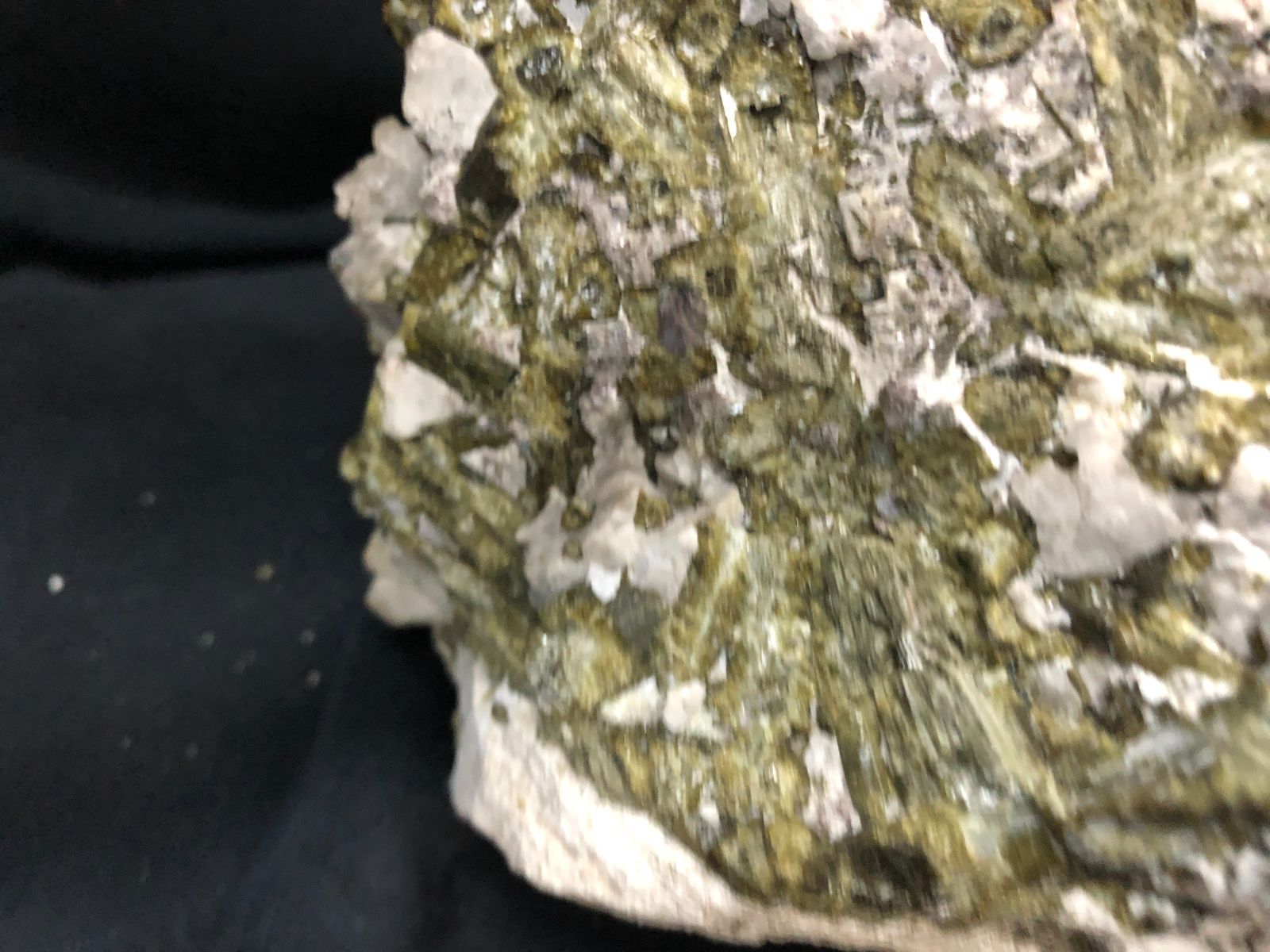 5.6㎏