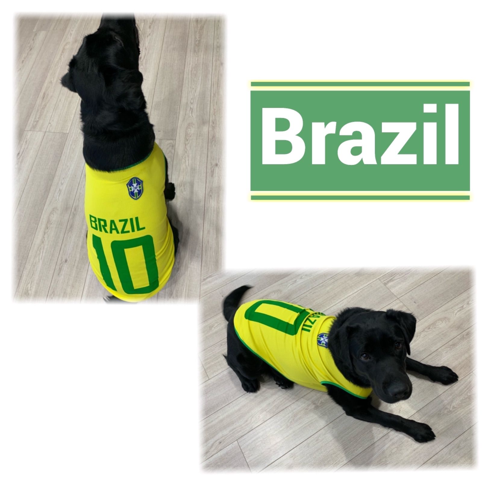 アルゼンチン代表 ユニフォーム（ペット・ペットグッズ）の通販