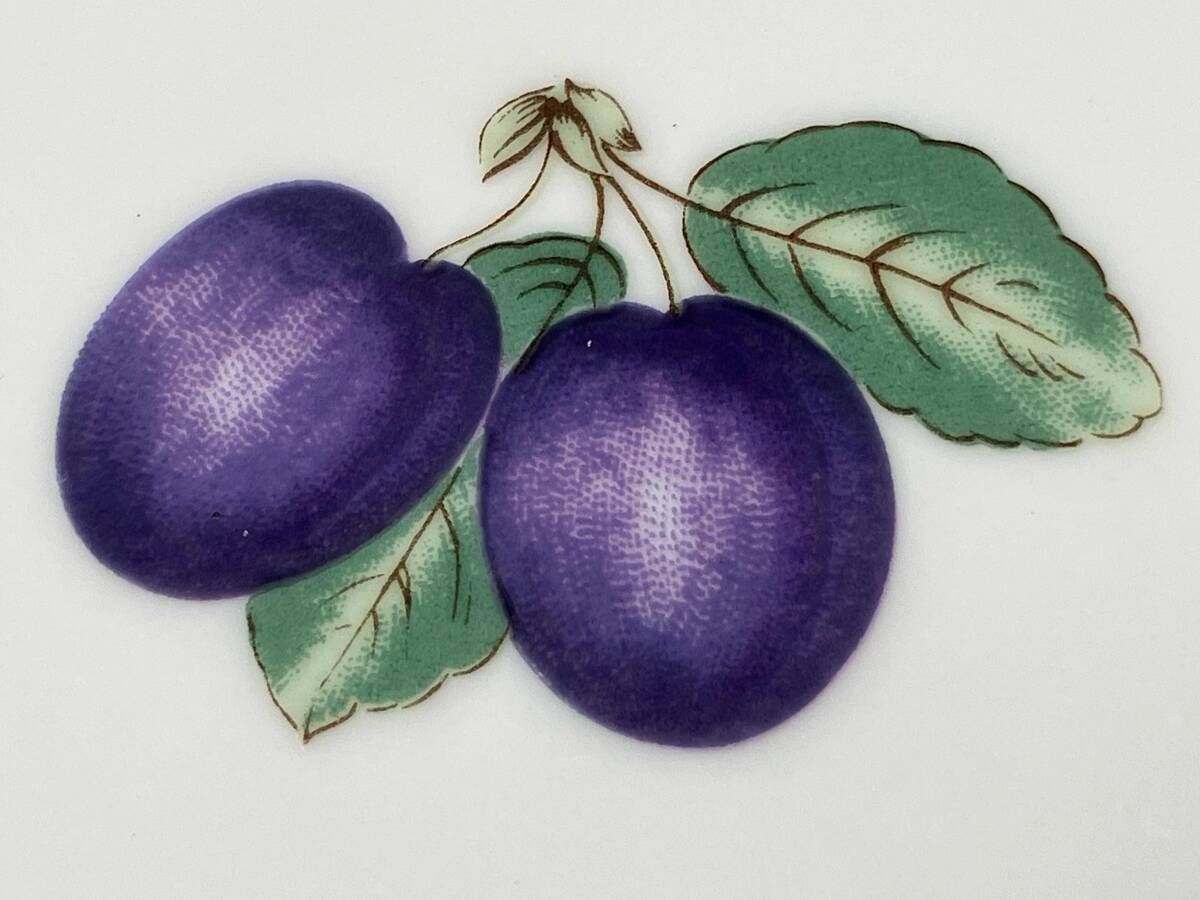 Richard Ginori リチャードジノリ ボンジョルノ プルーン